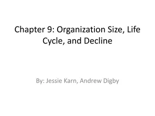 Organization Size, Life Cycle, and Decline - Insights and Analysis