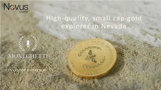 Golden Explorer in Nevada Investor Overview
