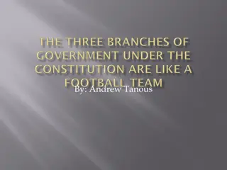 Football Team as a Government System