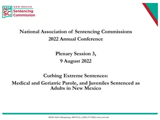 Understanding New Mexico Sentencing Commission's Impact on Older Inmates