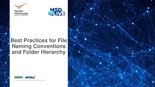 Efficient File Naming and Folder Organization Tips