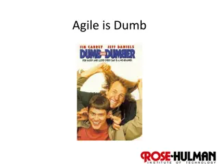 Insights on Agile Development Practices