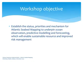 Atlantic Seabed Mapping Workshop Recommendations