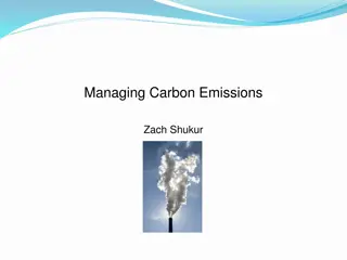 Managing Carbon Emissions Insights