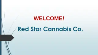 Best Marijuana Shop in Stonehaven
