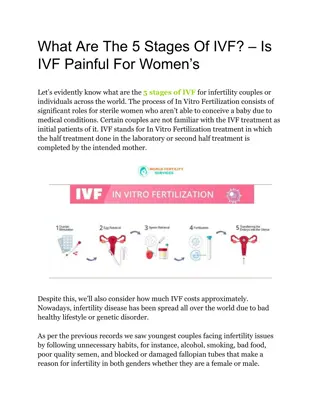 What Are The 5 Stages Of IVF