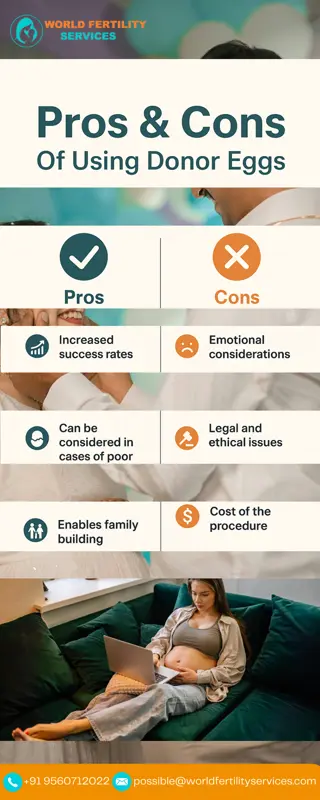 Pros & Cons Of Using Donor Eggs