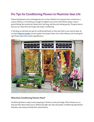 Pro Tips for Conditioning Flowers to Maximize Vase Life