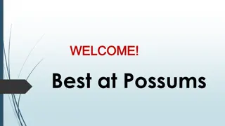 Best Pest Control in Lower Plenty