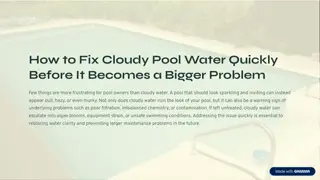 Jordan Hidalgo Largo FL - How to Fix Cloudy Pool Water Quickly Before It Becomes