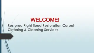 Best Wet Carpet Drying Services in Rosebery
