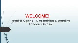 Best Dog Grooming in Lobo Twp
