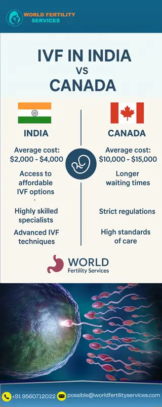 IVF In India Vs Canada