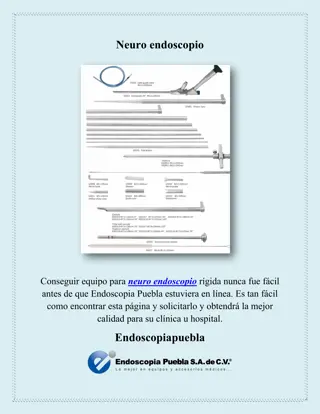 Neuro endoscopio