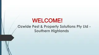 Best Wasp removal services in East Bowral