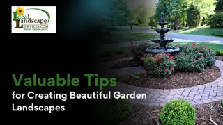 Ultimate Guide to Creating Beautiful Garden Landscapes in Fort Worth & Arlington