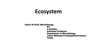 Understanding Ecosystems: Types, Components, and Interactions