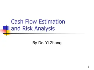 Cash Flow Estimation and Risk Analysis Overview