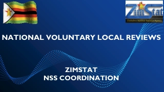 National Voluntary Local Reviews