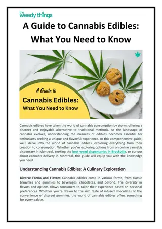 A Guide to Cannabis Edibles What You Need to Know