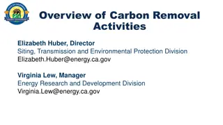 Overview of California's Carbon Removal Initiatives