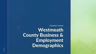 Westmeath County Business & Employment Demographics Report