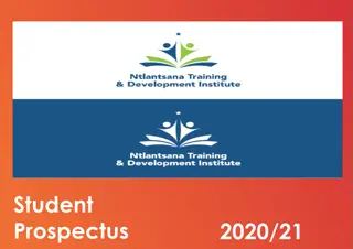 Ntlantsana Training & Development Institute (NTDI) - Empowering Futures Through Education & Training