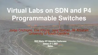 Virtual Labs on SDN and P4 Programmable Switches