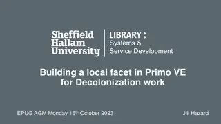 Building a local facet in Primo VE  for Decolonization work