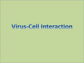 Understanding Virus-Cell Interactions: Mechanisms and Consequences