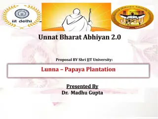Lunna Papaya Plantation Proposal by Shri JJT University