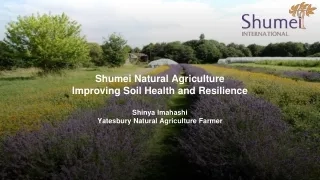 Shumei Natural Agriculture: Improving Soil Health and Resilience