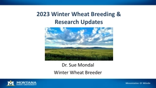2023 Winter Wheat Breeding & Research Updates