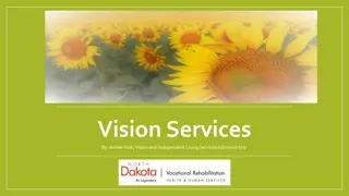 Understanding Low Vision Programs and Services