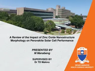 Impact of Zinc Oxide Nanostructure on Perovskite Solar Cell Performance