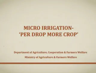 Micro Irrigation for Increased Crop Yield and Water Efficiency: Insights and Best Practices