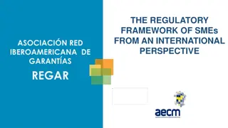 International Perspective on SMEs Regulatory Framework with Iberoamerican Network of Guarantees