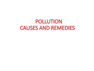 Understanding Pollution: Causes, Effects, and Remedies