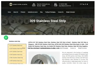 309 Stainless Steel Strip