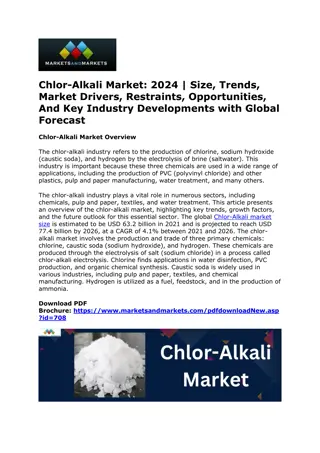 Chlor-Alkali Market SWOT Analysis, Size Comprehensive, Growth Forecast