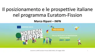 Italian Positioning and Perspectives in the Euratom-Fission Program