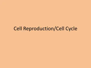 Understanding Cell Reproduction and the Cell Cycle