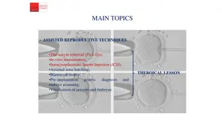 Assisted Reproductive Techniques: Oocyte Retrieval Process