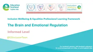 Professional Learning Resource for Emotional Regulation and Brain Function