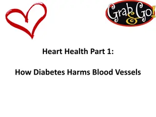 Understanding How Diabetes Affects Blood Vessels