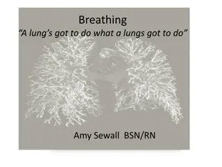 Understanding Breathing, Anxiety, and Stress Management