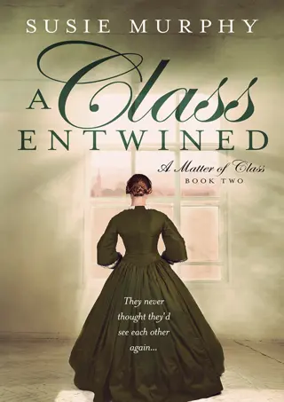 get⚡[PDF]❤ A Class Entwined: A sweeping Irish historical romance saga (A Matter