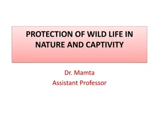 Wildlife Protection and Welfare Issues in Nature and Captivity