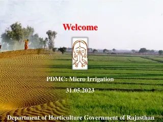 Micro Irrigation Progress and Growth in Rajasthan