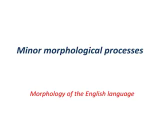 Understanding Minor Morphological Processes in English Language
